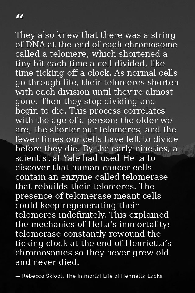 They also knew that there was a string of DNA at the end of each chromosome called a telomere, which shortened a tiny bi — Rebecca Skloot, The Immortal Life of Henrietta Lacks