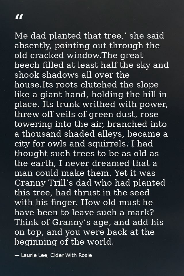 Me dad planted that tree,’ she said absently, pointing out through the old cracked window.The great beech filled at leas — Laurie Lee, Cider With Rosie