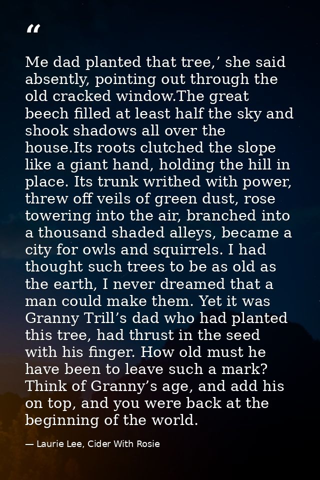 Me dad planted that tree,’ she said absently, pointing out through the old cracked window.The great beech filled at leas — Laurie Lee, Cider With Rosie