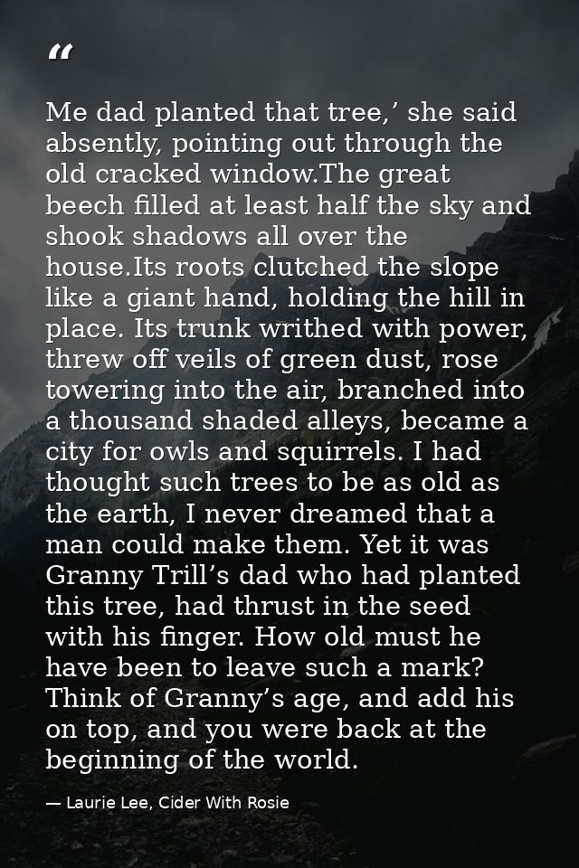 Me dad planted that tree,’ she said absently, pointing out through the old cracked window.The great beech filled at leas — Laurie Lee, Cider With Rosie