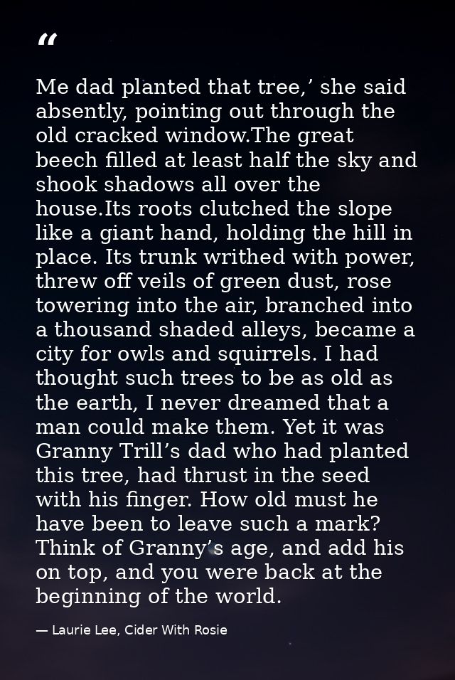 Me dad planted that tree,’ she said absently, pointing out through the old cracked window.The great beech filled at leas — Laurie Lee, Cider With Rosie