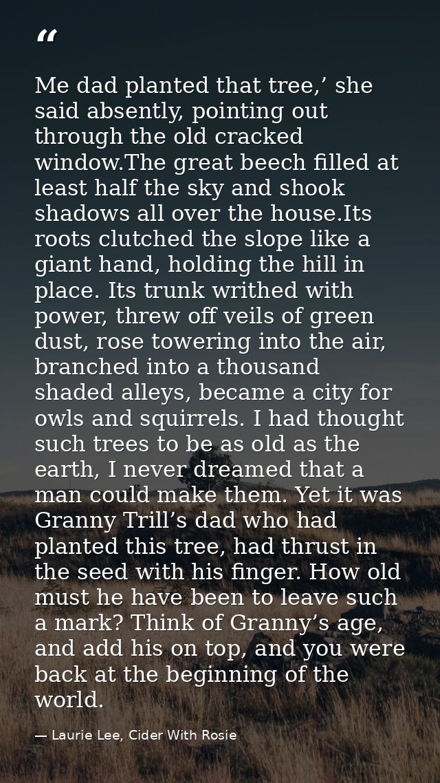 Me dad planted that tree,’ she said absently, pointing out through the old cracked window.The great beech filled at leas — Laurie Lee, Cider With Rosie