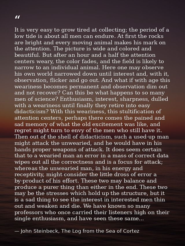 It is very easy to grow tired at collecting; the period of a low tide is about all men can endure. At first the rocks ar — John Steinbeck, The Log from the Sea of Cortez