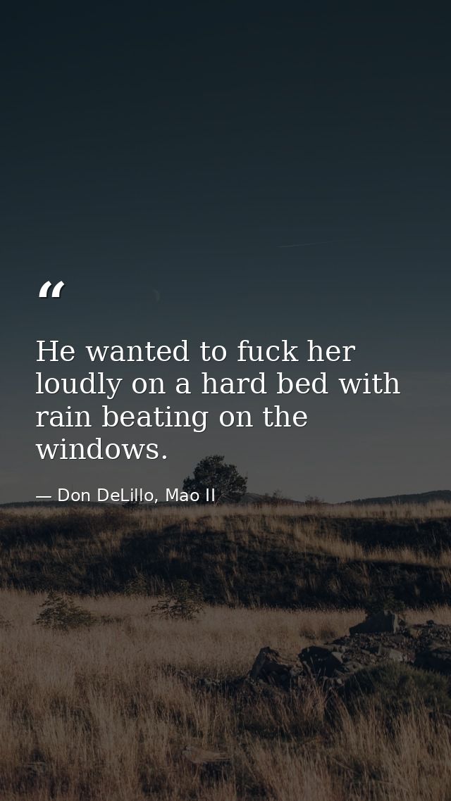 He wanted to fuck her loudly on a hard bed with rain beating on the windows. — Don DeLillo, Mao II