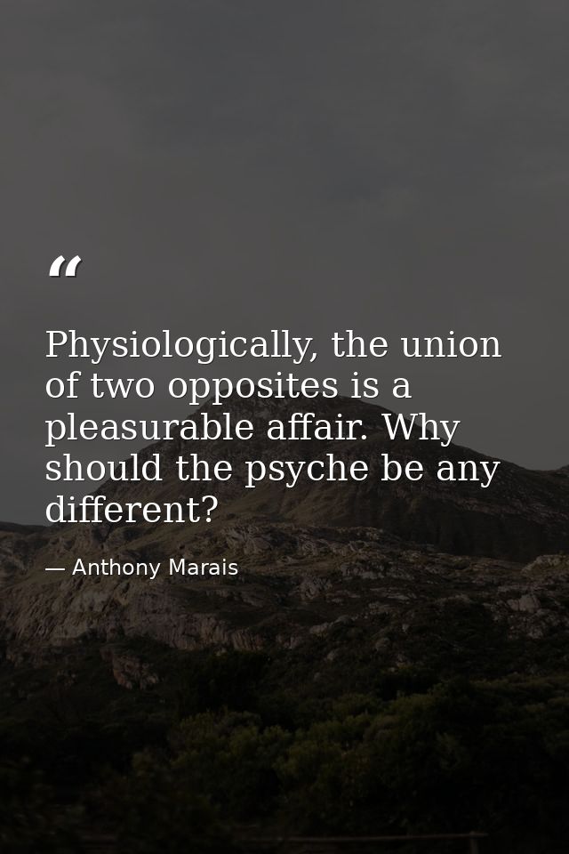 Physiologically, the union of two opposites is a pleasurable affair. Why should the psyche be any different? — Anthony Marais