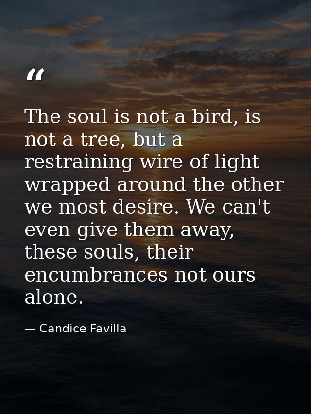 The soul is not a bird, is not a tree, but a restraining wire of light wrapped around the other we most desire. We can't — Candice Favilla
