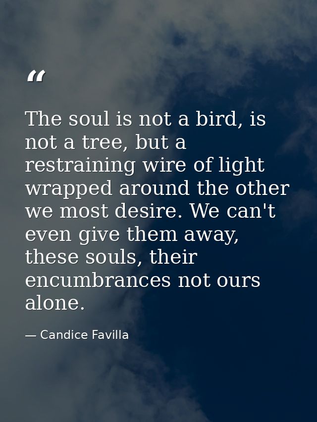 The soul is not a bird, is not a tree, but a restraining wire of light wrapped around the other we most desire. We can't — Candice Favilla
