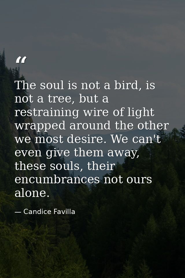 The soul is not a bird, is not a tree, but a restraining wire of light wrapped around the other we most desire. We can't — Candice Favilla