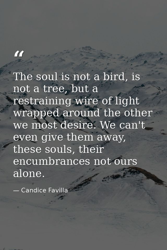 The soul is not a bird, is not a tree, but a restraining wire of light wrapped around the other we most desire. We can't — Candice Favilla