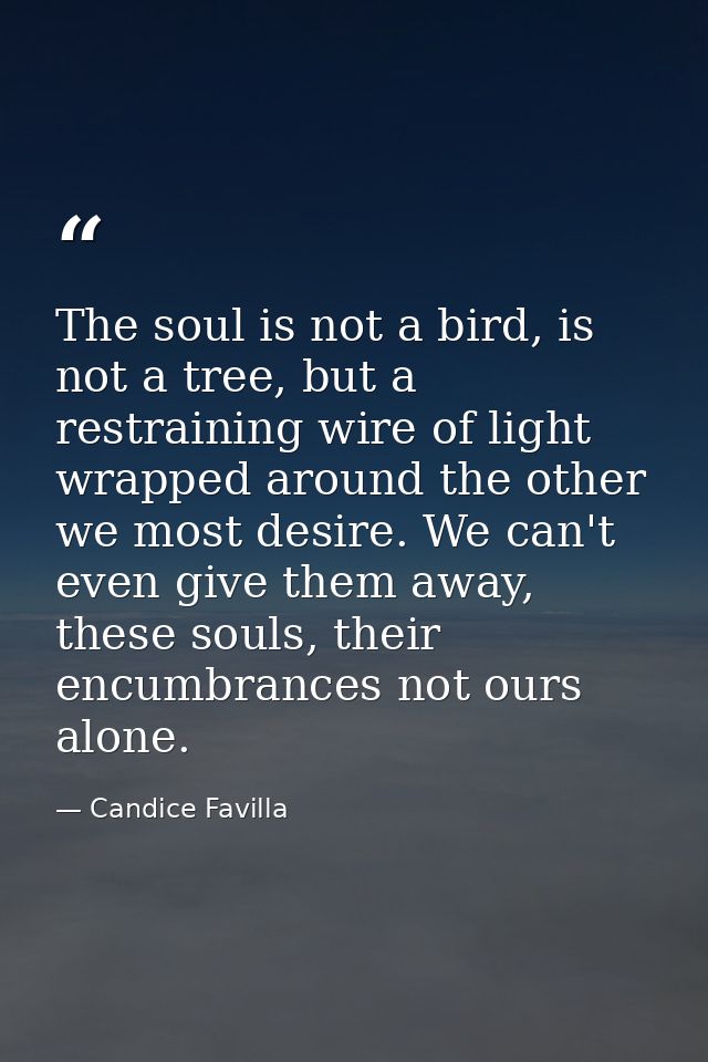 The soul is not a bird, is not a tree, but a restraining wire of light wrapped around the other we most desire. We can't — Candice Favilla