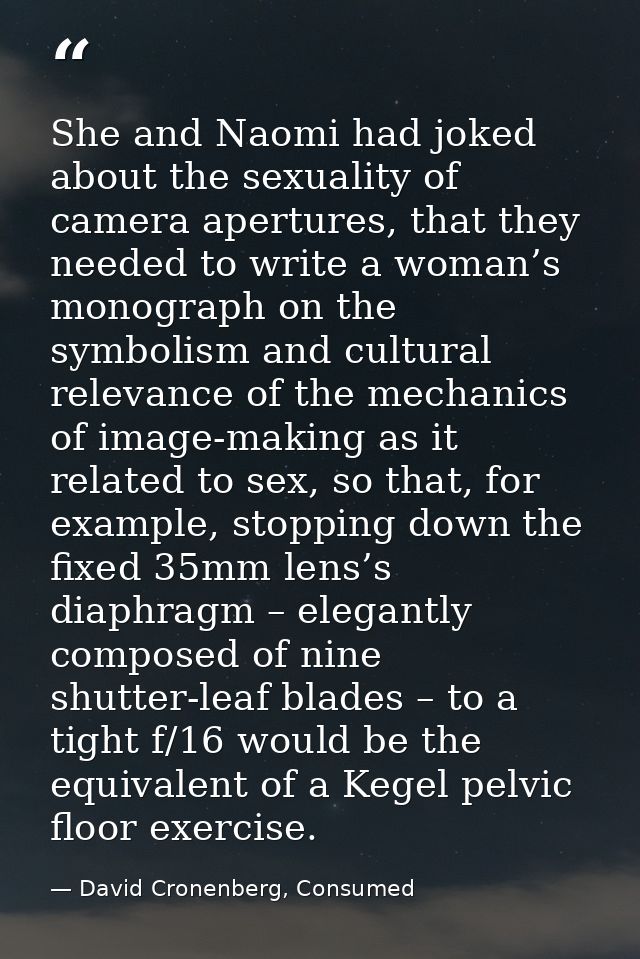 She and Naomi had joked about the sexuality of camera apertures, that they needed to write a woman’s monograph on the sy — David Cronenberg, Consumed