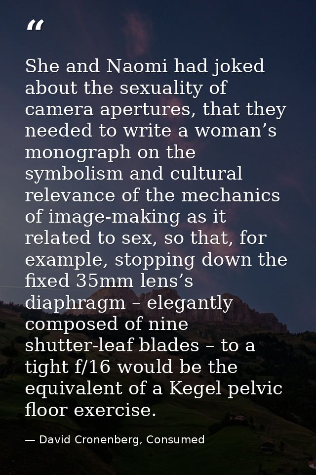 She and Naomi had joked about the sexuality of camera apertures, that they needed to write a woman’s monograph on the sy — David Cronenberg, Consumed