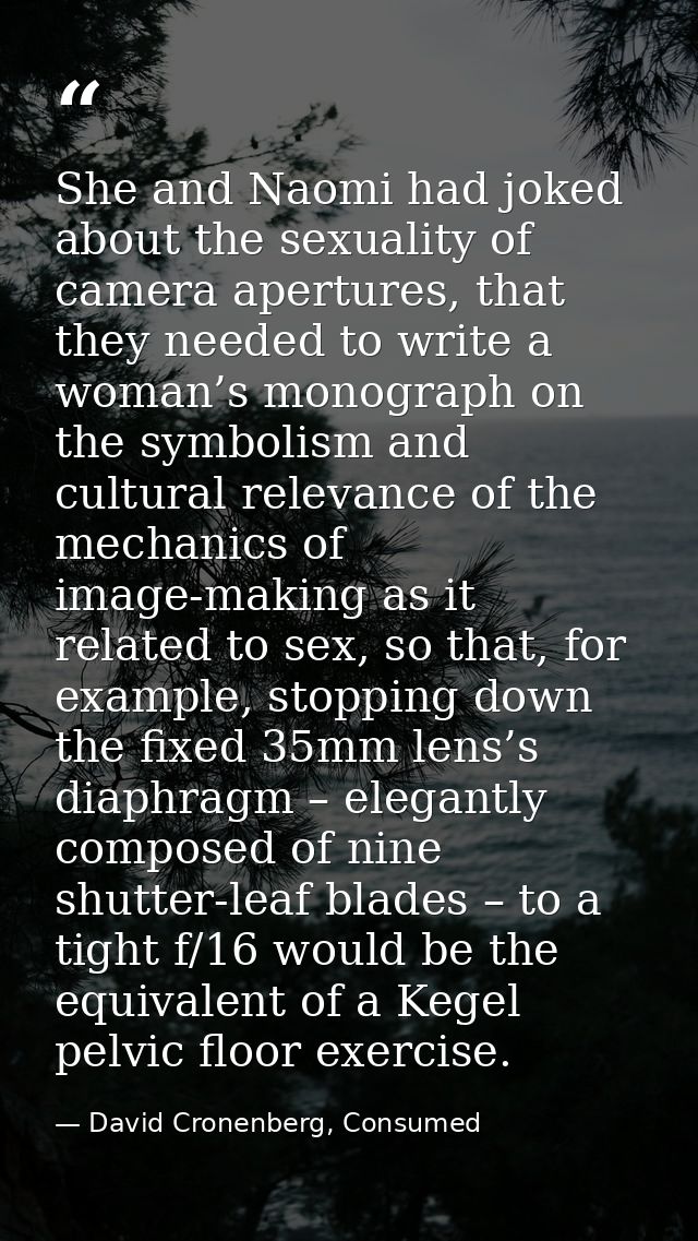 She and Naomi had joked about the sexuality of camera apertures, that they needed to write a woman’s monograph on the sy — David Cronenberg, Consumed