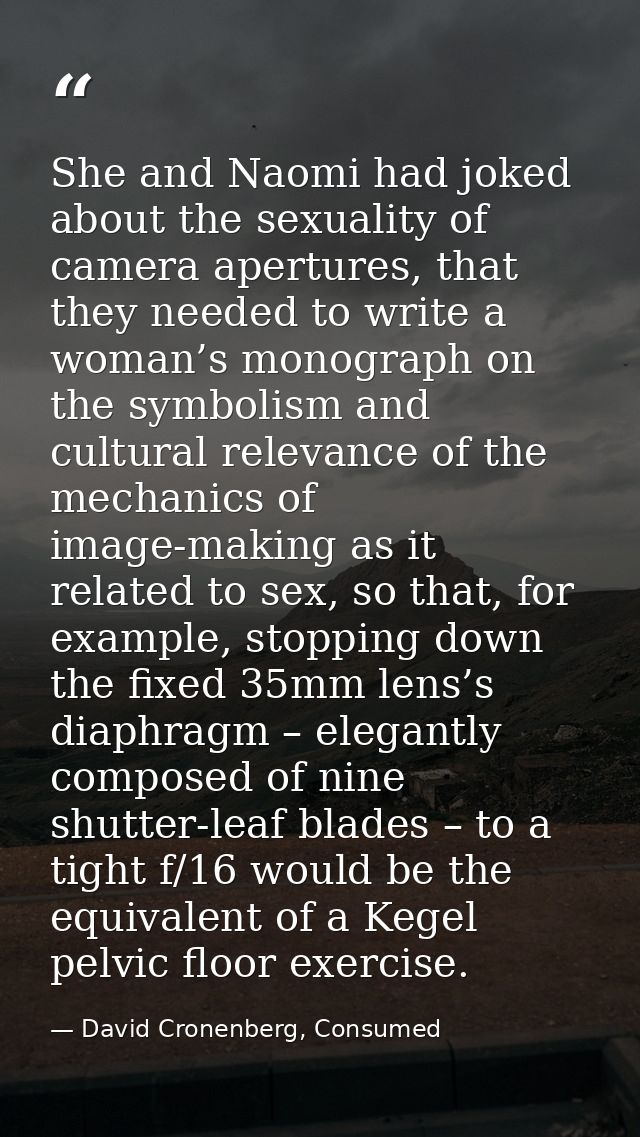 She and Naomi had joked about the sexuality of camera apertures, that they needed to write a woman’s monograph on the sy — David Cronenberg, Consumed