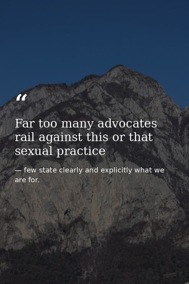 Far too many advocates rail against this or that sexual practice — few state clearly and explicitly what we are for.