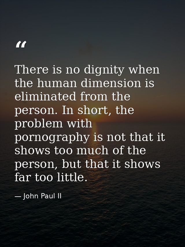 There is no dignity when the human dimension is eliminated from the person. In short, the problem with pornography is no — John Paul II