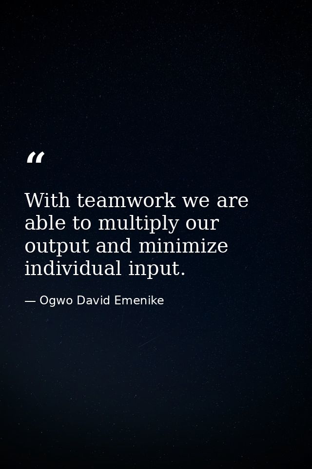 With teamwork we are able to multiply our output and minimize individual input. — Ogwo David Emenike