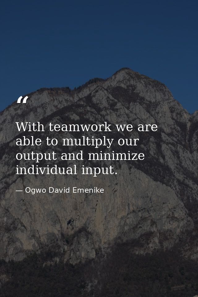 With teamwork we are able to multiply our output and minimize individual input. — Ogwo David Emenike