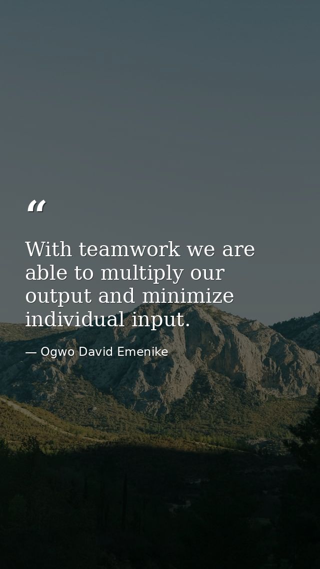 With teamwork we are able to multiply our output and minimize individual input. — Ogwo David Emenike