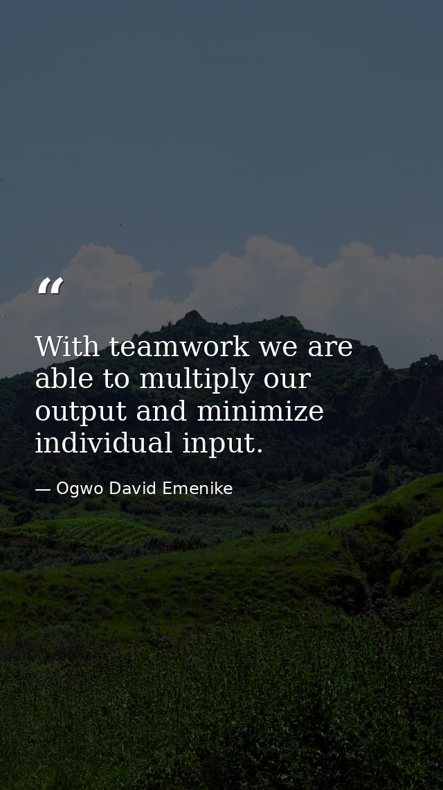 With teamwork we are able to multiply our output and minimize individual input. — Ogwo David Emenike