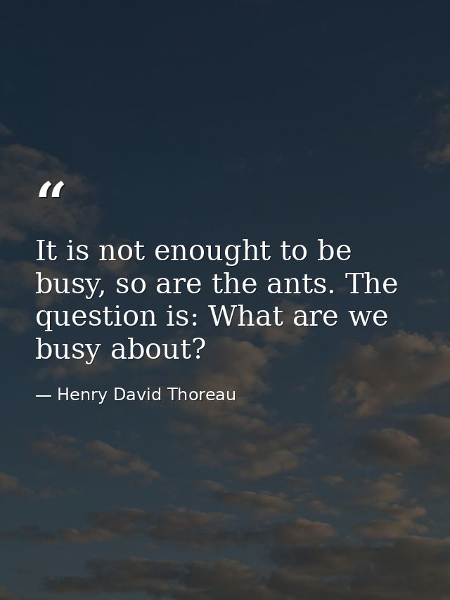 It is not enought to be busy, so are the ants. The question is: What are we busy about? — Henry David Thoreau
