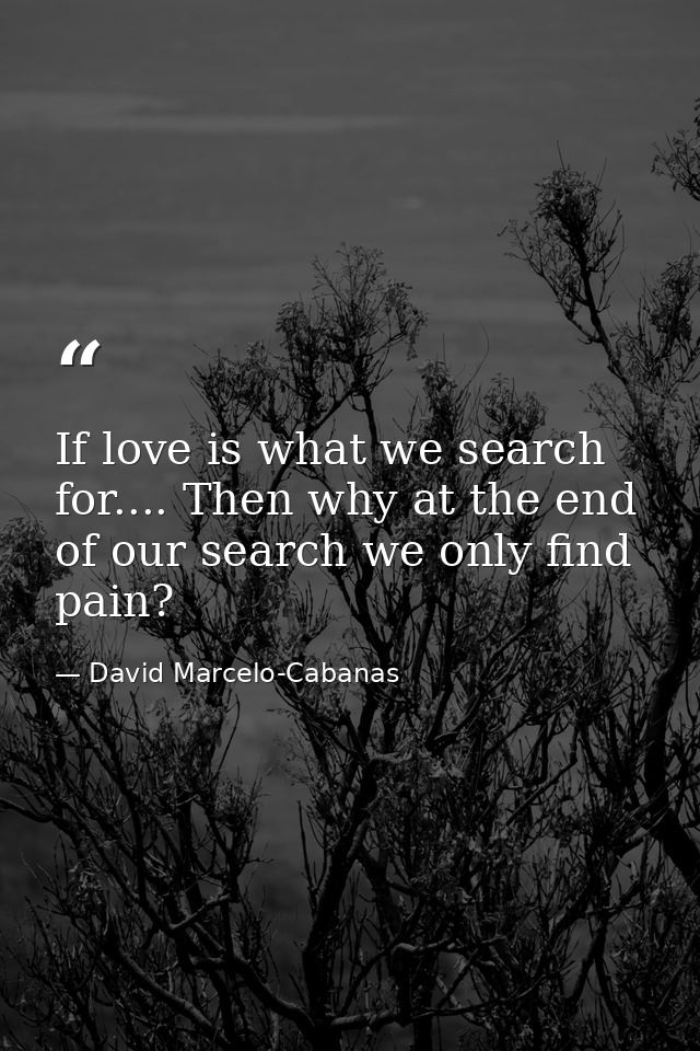 If love is what we search for.... Then why at the end of our search we only find pain? — David Marcelo-Cabanas