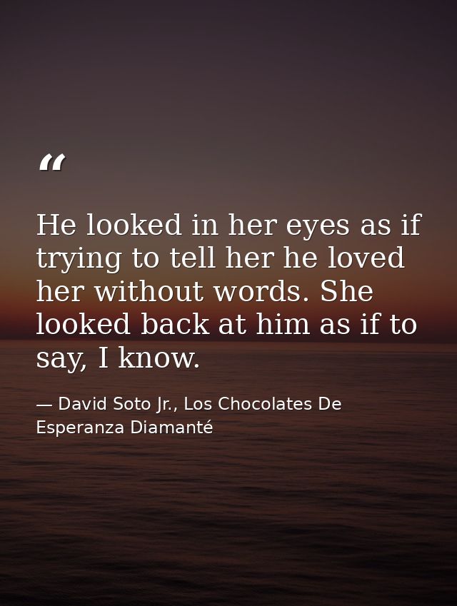 He looked in her eyes as if trying to tell her he loved her without words. She looked back at him as if to say, I know. — David Soto Jr., Los Chocolates De Esperanza Diamanté