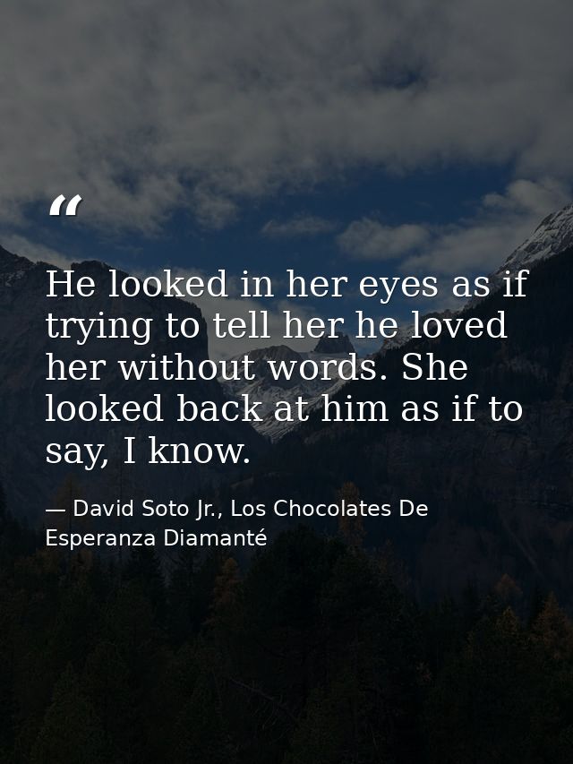He looked in her eyes as if trying to tell her he loved her without words. She looked back at him as if to say, I know. — David Soto Jr., Los Chocolates De Esperanza Diamanté