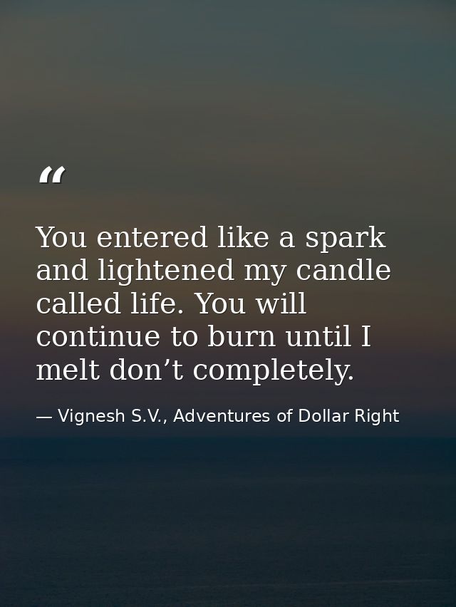 You entered like a spark and lightened my candle called life. You will continue to burn until I melt don’t completely. — Vignesh S.V., Adventures of Dollar Right