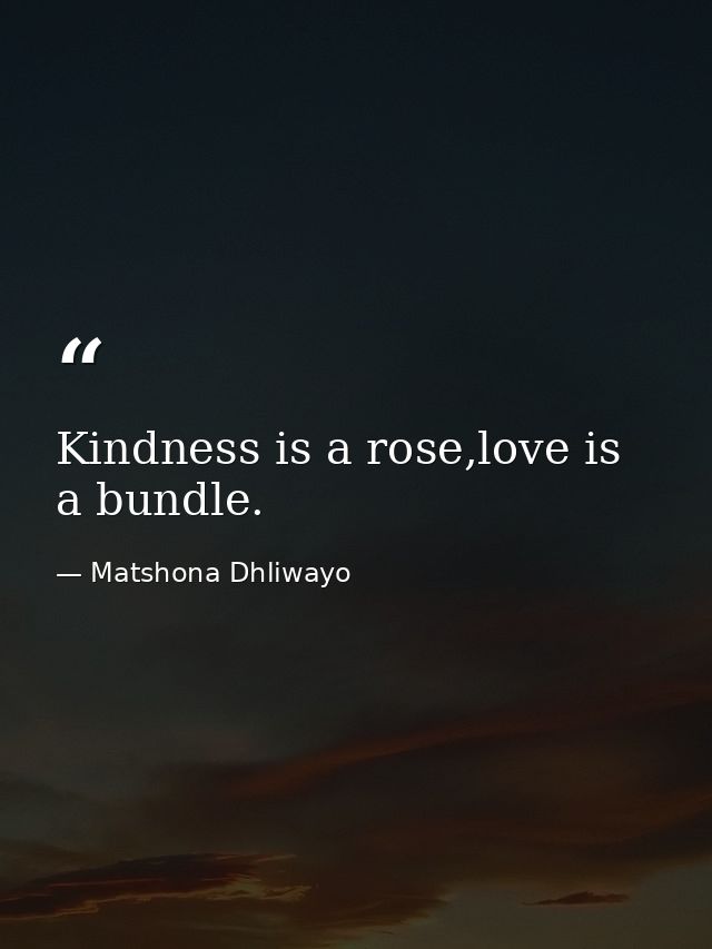 Kindness is a rose,love is a bundle. — Matshona Dhliwayo
