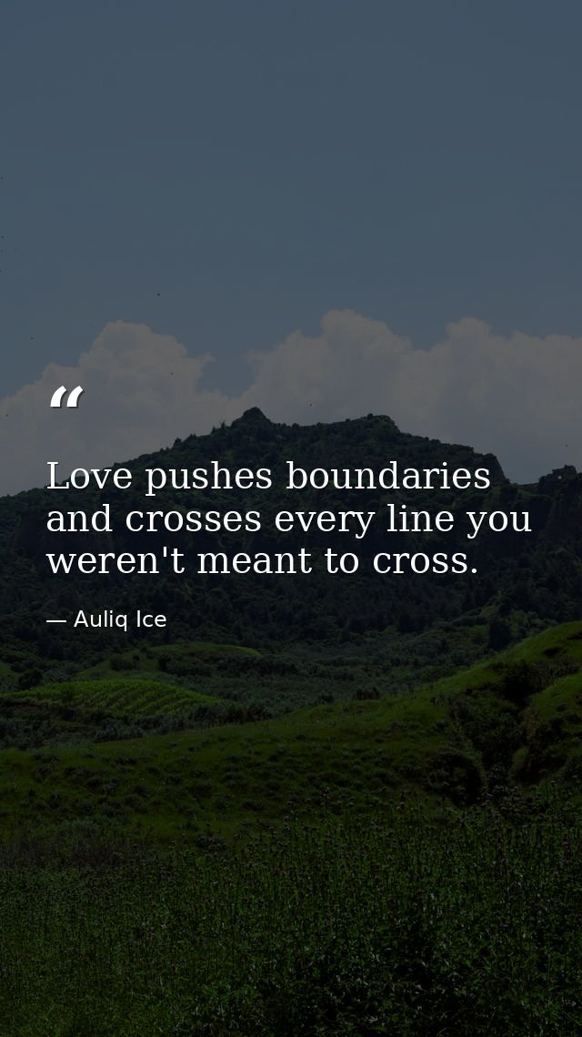 Love pushes boundaries and crosses every line you weren't meant to cross. — Auliq Ice