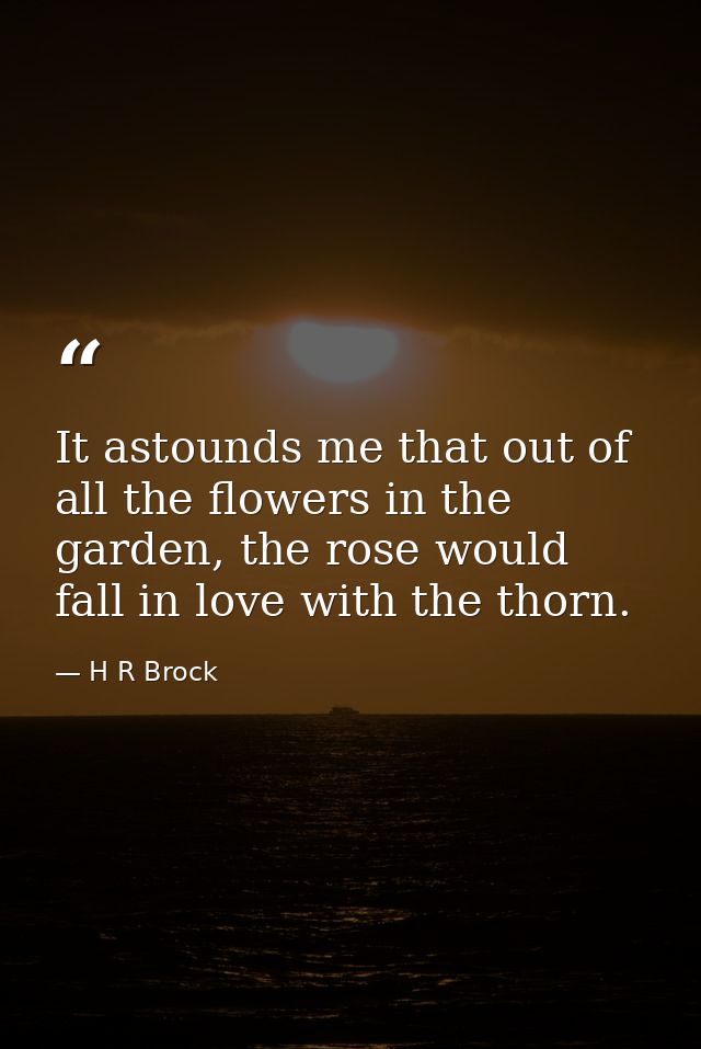 It astounds me that out of all the flowers in the garden, the rose would fall in love with the thorn. — H R Brock