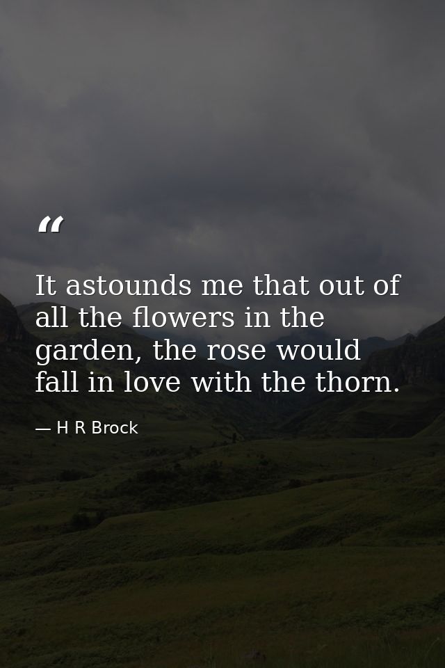 It astounds me that out of all the flowers in the garden, the rose would fall in love with the thorn. — H R Brock