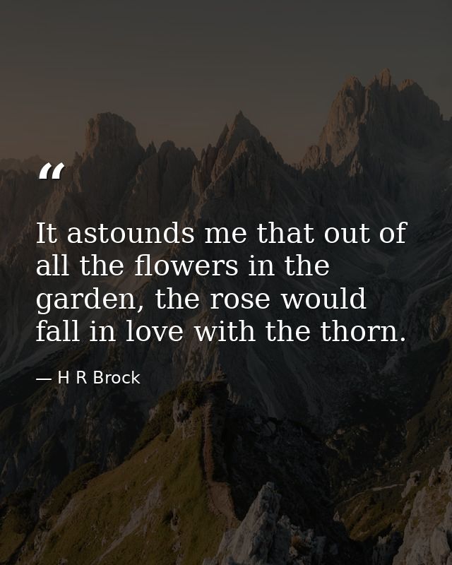 It astounds me that out of all the flowers in the garden, the rose would fall in love with the thorn. — H R Brock