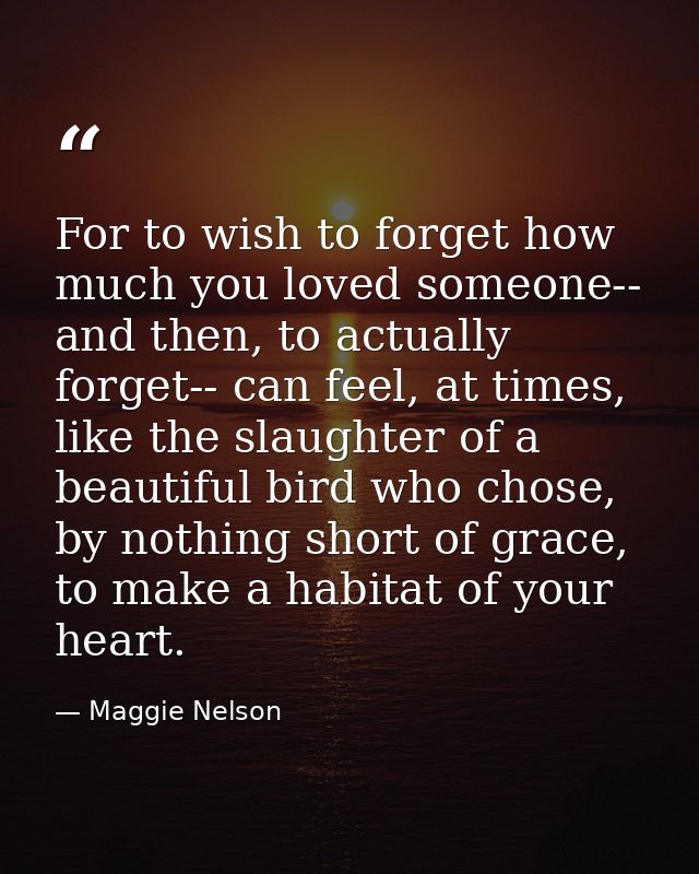 For to wish to forget how much you loved someone-- and then, to actually forget-- can feel, at times, like the slaughter — Maggie Nelson