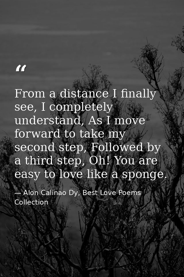 From a distance I finally see, I completely understand, As I move forward to take my second step, Followed by a third st — Alon Calinao Dy, Best Love Poems Collection