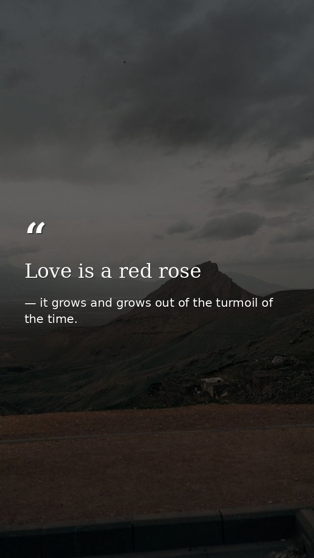 Love is a red rose — it grows and grows out of the turmoil of the time.