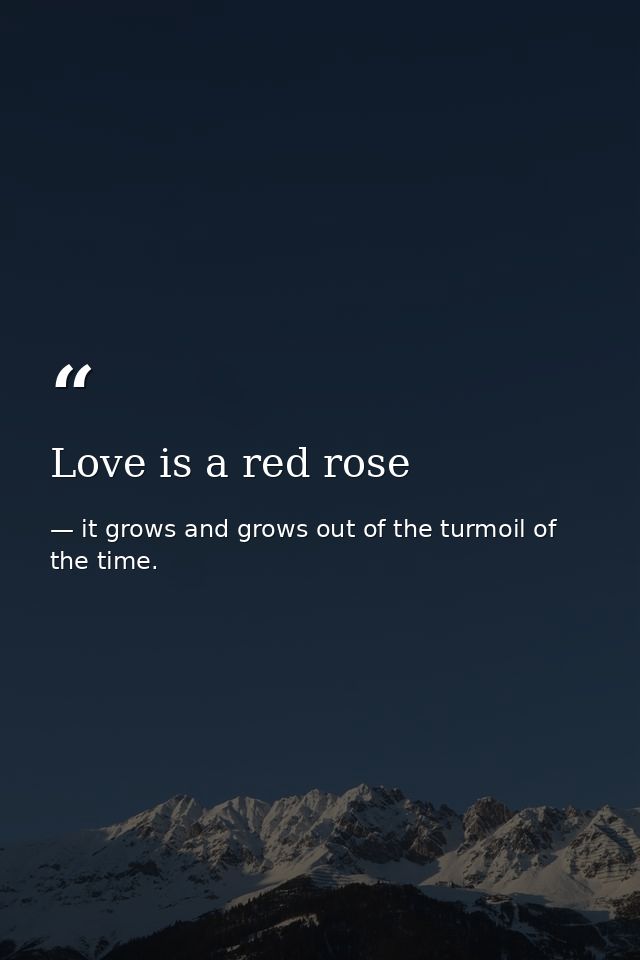 Love is a red rose — it grows and grows out of the turmoil of the time.