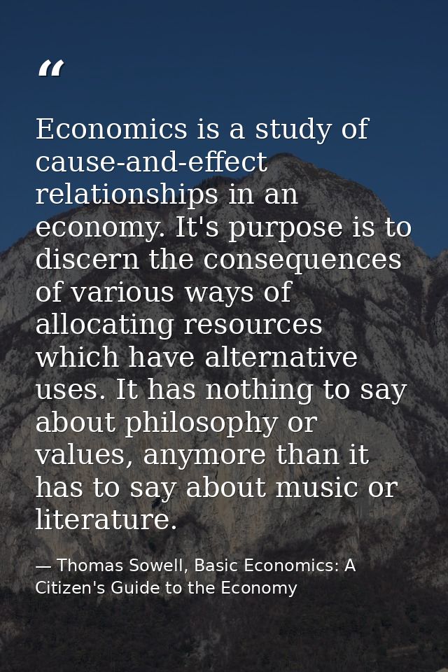 Economics is a study of cause-and-effect relationships in an economy. It's purpose is to discern the consequences of var — Thomas Sowell, Basic Economics: A Citizen's Guide to the Economy