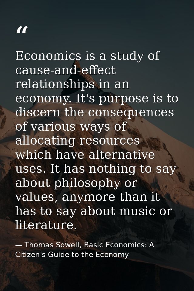 Economics is a study of cause-and-effect relationships in an economy. It's purpose is to discern the consequences of var — Thomas Sowell, Basic Economics: A Citizen's Guide to the Economy