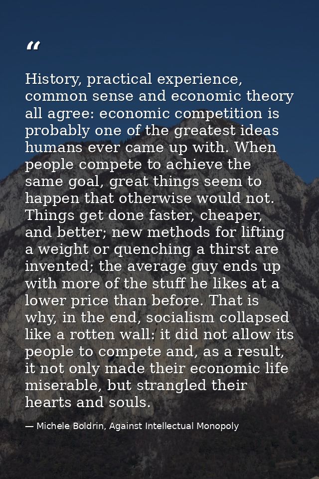 History, practical experience, common sense and economic theory all agree: economic competition is probably one of the g — Michele Boldrin, Against Intellectual Monopoly