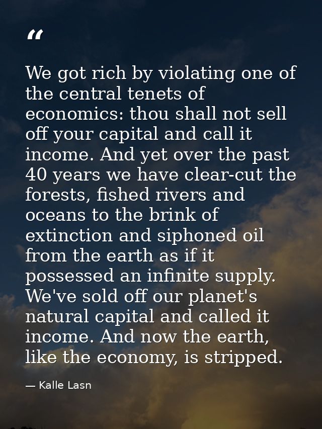 We got rich by violating one of the central tenets of economics: thou shall not sell off your capital and call it income — Kalle Lasn
