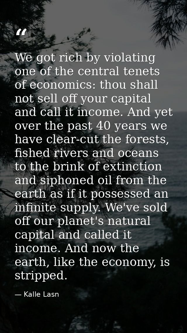 We got rich by violating one of the central tenets of economics: thou shall not sell off your capital and call it income — Kalle Lasn
