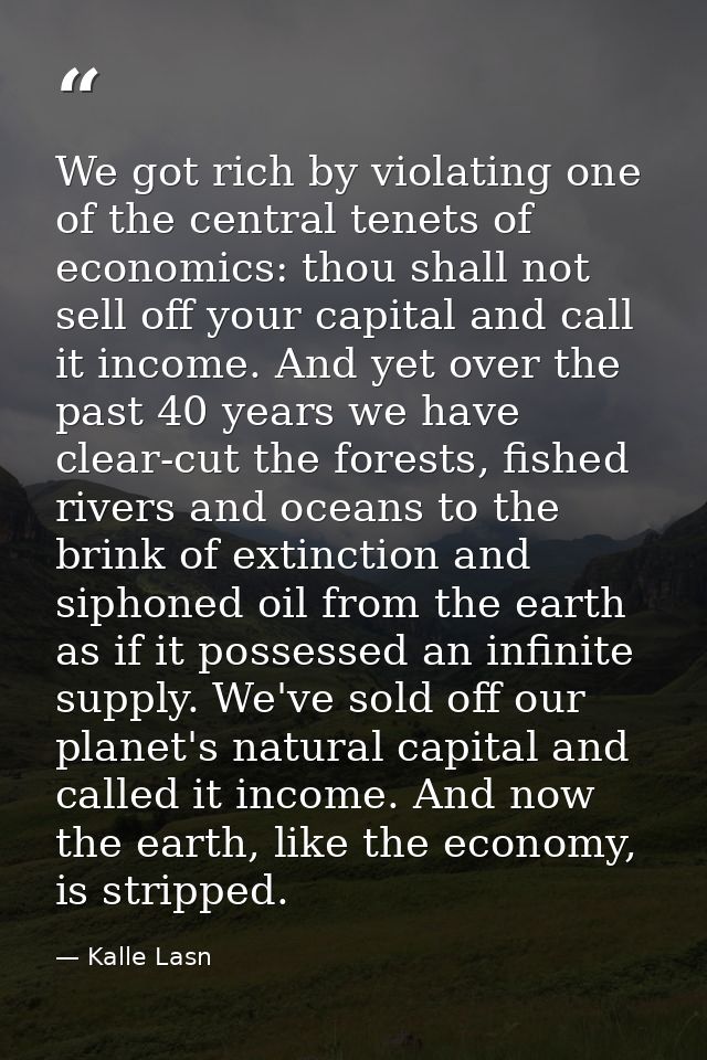 We got rich by violating one of the central tenets of economics: thou shall not sell off your capital and call it income — Kalle Lasn