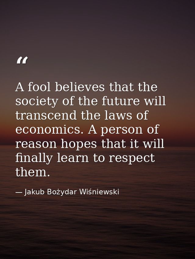 A fool believes that the society of the future will transcend the laws of economics. A person of reason hopes that it wi — Jakub Bożydar Wiśniewski