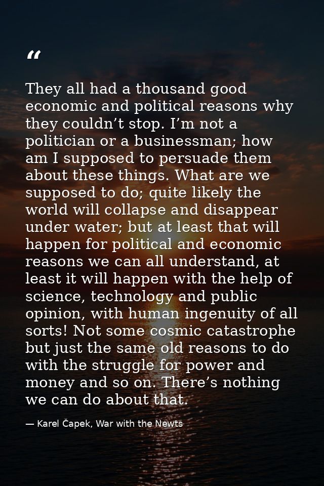 They all had a thousand good economic and political reasons why they couldn’t stop. I’m not a politician or a businessma — Karel Čapek, War with the Newts