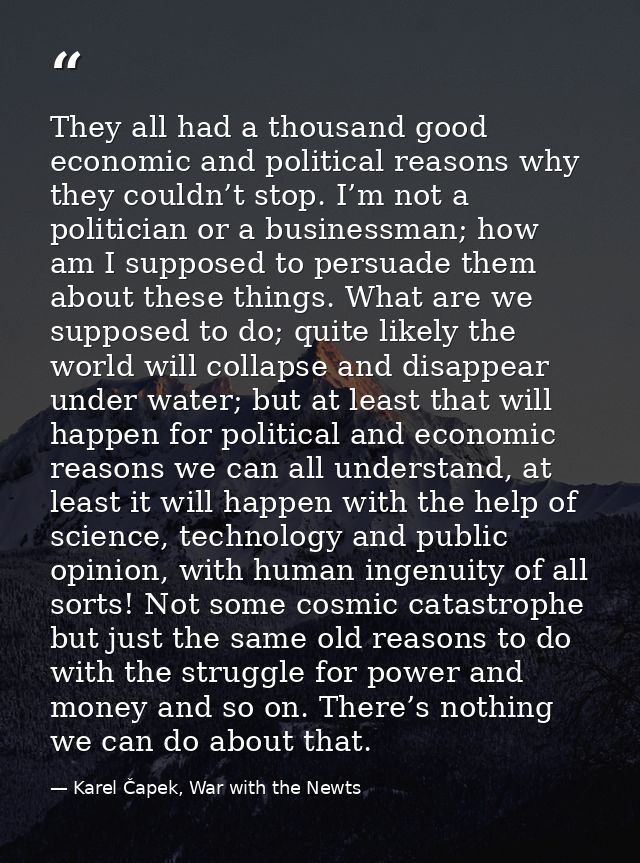 They all had a thousand good economic and political reasons why they couldn’t stop. I’m not a politician or a businessma — Karel Čapek, War with the Newts