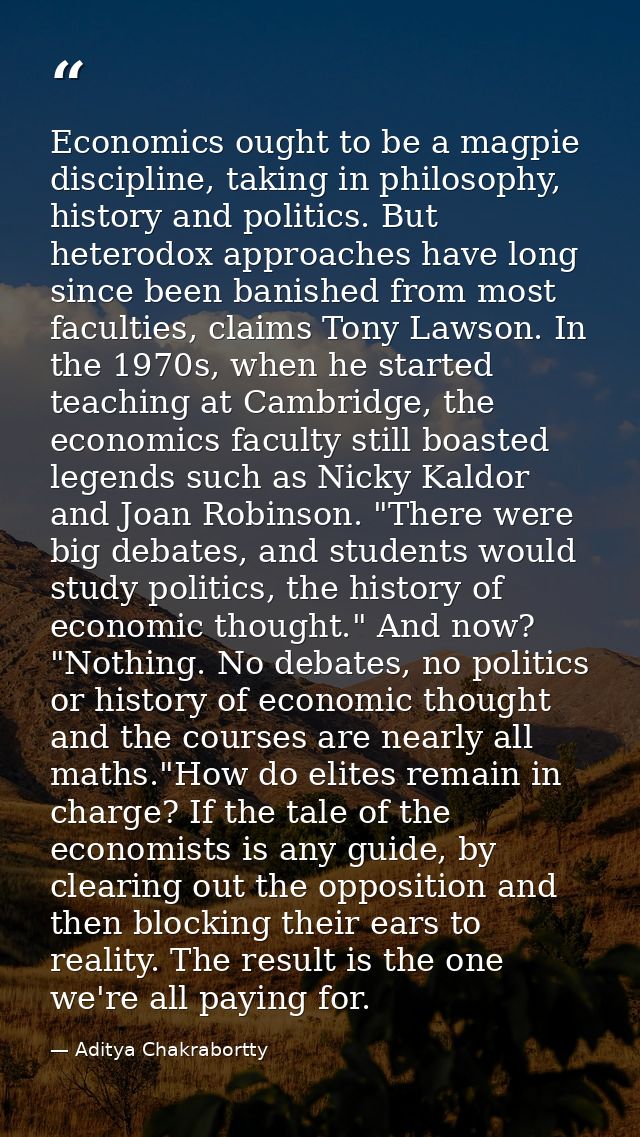 Economics ought to be a magpie discipline, taking in philosophy, history and politics. But heterodox approaches have lon — Aditya Chakrabortty
