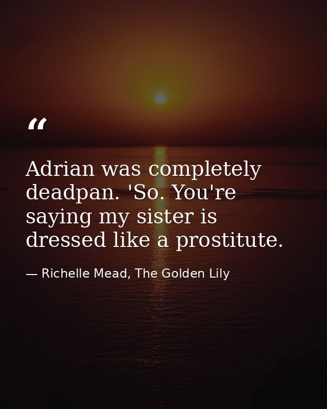Adrian was completely deadpan. 'So. You're saying my sister is dressed like a prostitute. — Richelle Mead, The Golden Lily