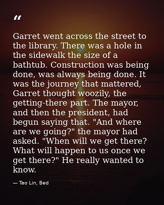 Garret went across the street to the library. There was a hole in the sidewalk the size of a bathtub. Construction was b — Tao Lin, Bed